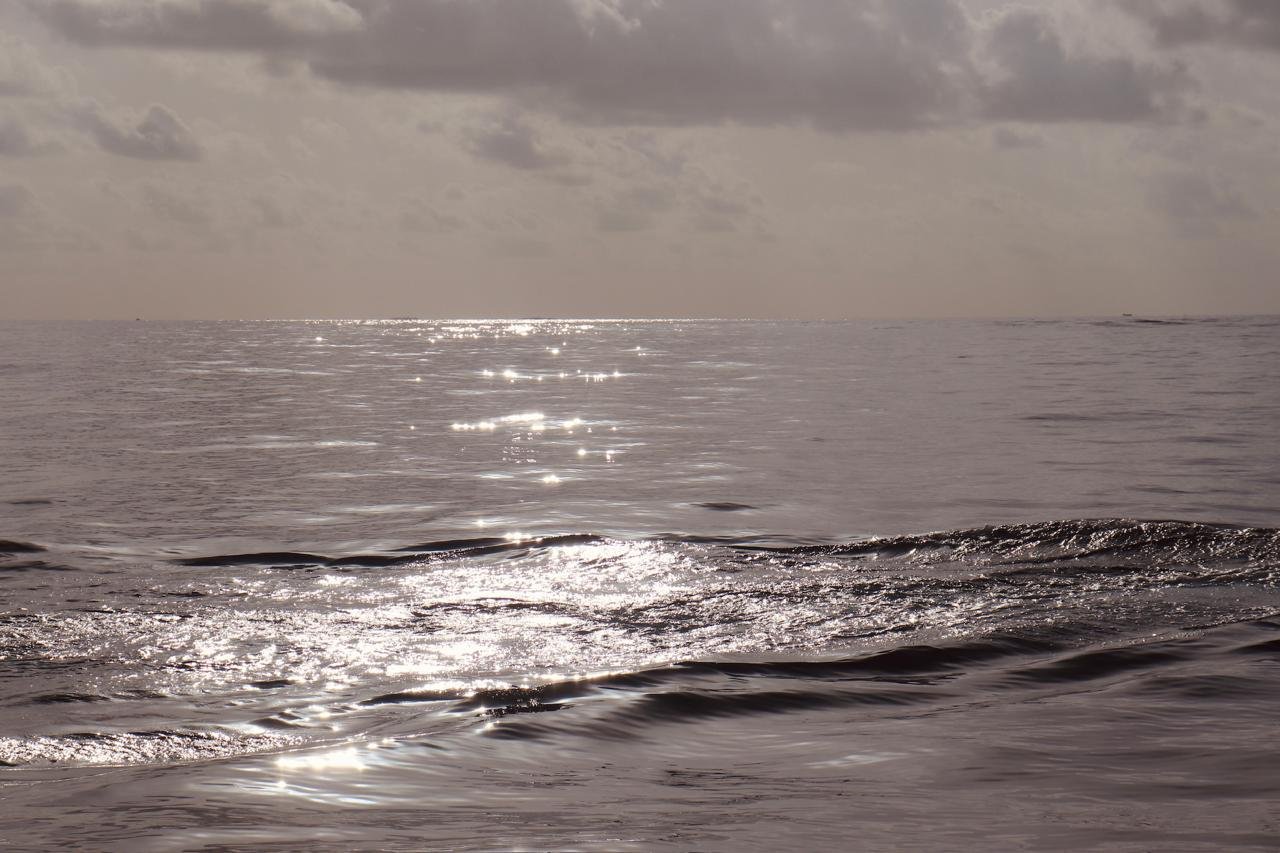 WhatsApp Image 2025 11 19 At 11.50.44 2c7d1968